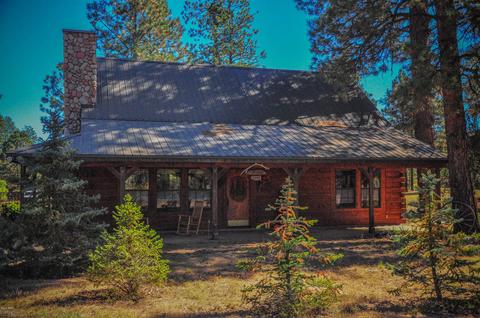 3323 Ox Bow Bnd, Overgaard, AZ 85933 photo 4