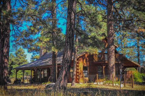 3323 Ox Bow Bnd, Overgaard, AZ 85933 photo 1
