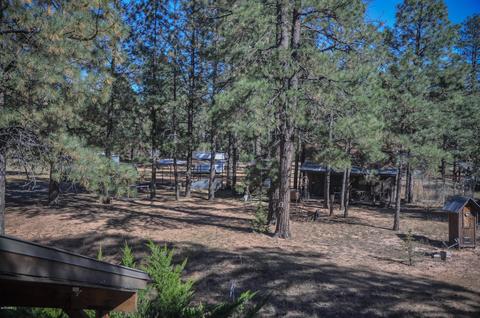 3323 Ox Bow Bnd, Overgaard, AZ 85933 photo 34
