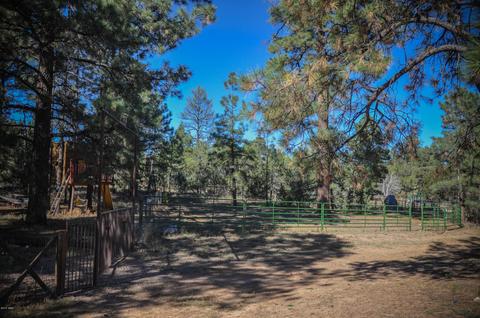 3323 Ox Bow Bnd, Overgaard, AZ 85933 photo 78