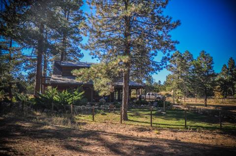 3323 Ox Bow Bnd, Overgaard, AZ 85933 photo 66