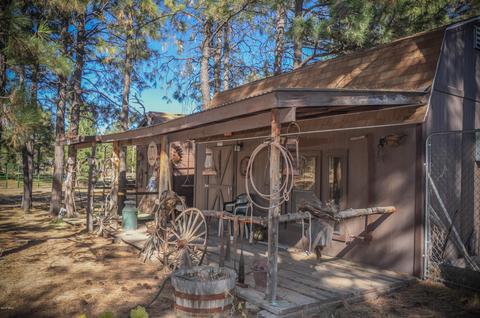 3323 Ox Bow Bnd, Overgaard, AZ 85933 photo 68