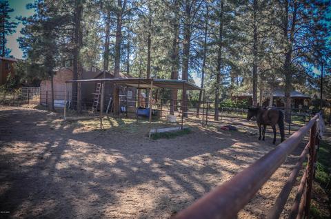3323 Ox Bow Bnd, Overgaard, AZ 85933 photo 76