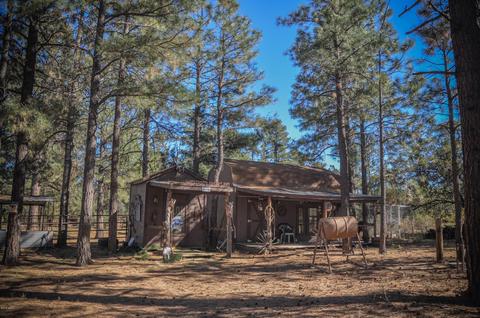 3323 Ox Bow Bnd, Overgaard, AZ 85933 photo 62