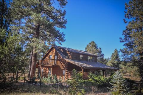 3323 Ox Bow Bnd, Overgaard, AZ 85933 photo 70