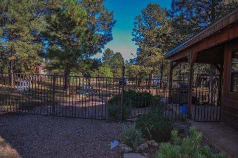 3323 Ox Bow Bnd, Overgaard, AZ 85933 photo 58
