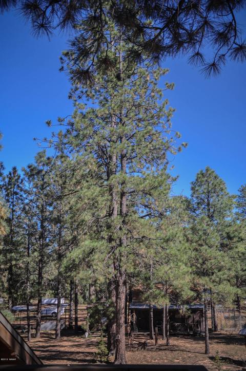 3323 Ox Bow Bnd, Overgaard, AZ 85933 photo 35