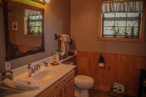 3323 Ox Bow Bnd, Overgaard, AZ 85933 photo 28