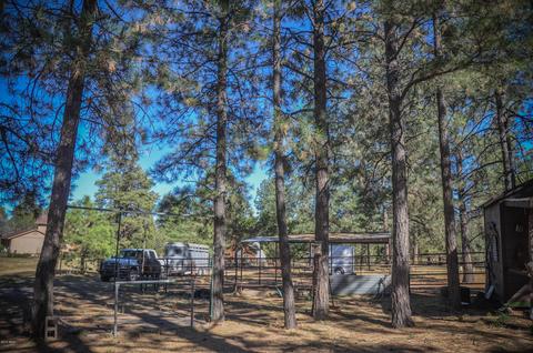 3323 Ox Bow Bnd, Overgaard, AZ 85933 photo 65