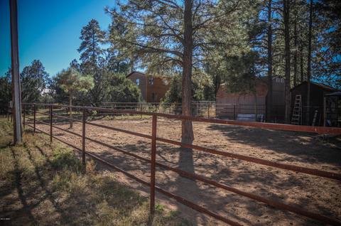 3323 Ox Bow Bnd, Overgaard, AZ 85933 photo 75
