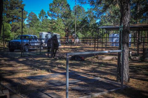 3323 Ox Bow Bnd, Overgaard, AZ 85933 photo 73