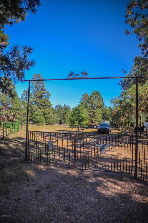 3323 Ox Bow Bnd, Overgaard, AZ 85933 photo 79
