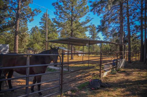 3323 Ox Bow Bnd, Overgaard, AZ 85933 photo 74