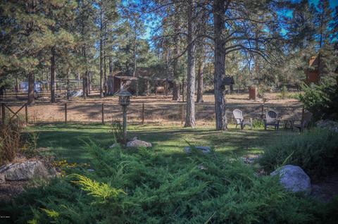 3323 Ox Bow Bnd, Overgaard, AZ 85933 photo 59