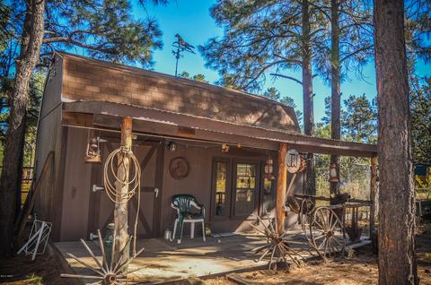 3323 Ox Bow Bnd, Overgaard, AZ 85933 photo 67