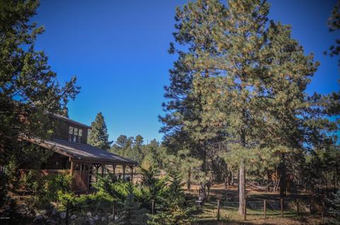 3323 Ox Bow Bnd, Overgaard, AZ 85933 photo 71