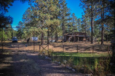 3323 Ox Bow Bnd, Overgaard, AZ 85933 photo 61