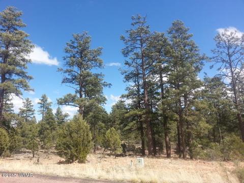 3445 Ponderosa Loop, Heber, AZ 85928 photo 1