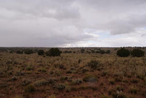 7694 Rose Trl, Snowflake, AZ 85937 photo 4