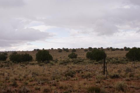 7694 Rose Trl, Snowflake, AZ 85937 photo 3
