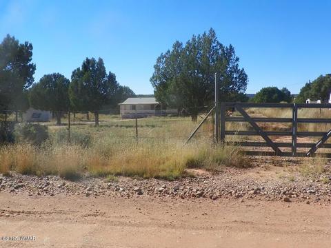 4452 S Pinto Rd, Snowflake, AZ 85937 photo 21