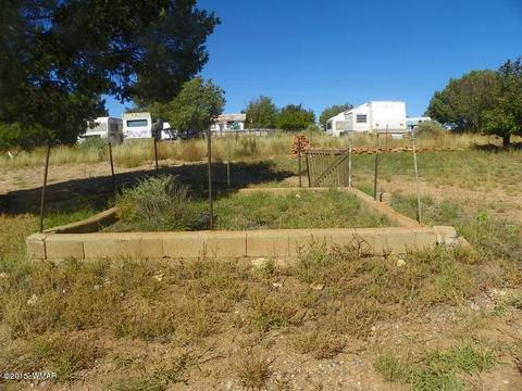 4452 S Pinto Rd, Snowflake, AZ 85937 photo 19