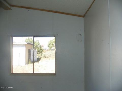 4452 S Pinto Rd, Snowflake, AZ 85937 photo 5