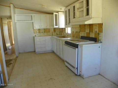 4452 S Pinto Rd, Snowflake, AZ 85937 photo 7