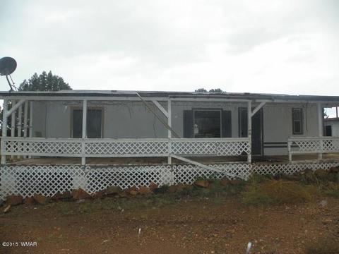 4452 S Pinto Rd, Snowflake, AZ 85937 photo 1