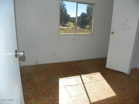 4452 S Pinto Rd, Snowflake, AZ 85937 photo 10
