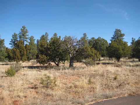 2874 Four Pt, Overgaard, AZ 85933 photo 2