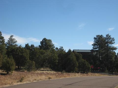 2874 Four Pt, Overgaard, AZ 85933 photo 4