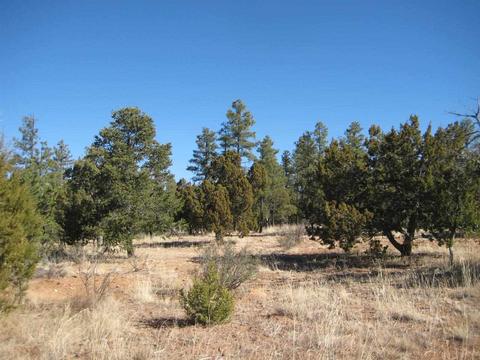 2874 Four Pt, Overgaard, AZ 85933 photo 7