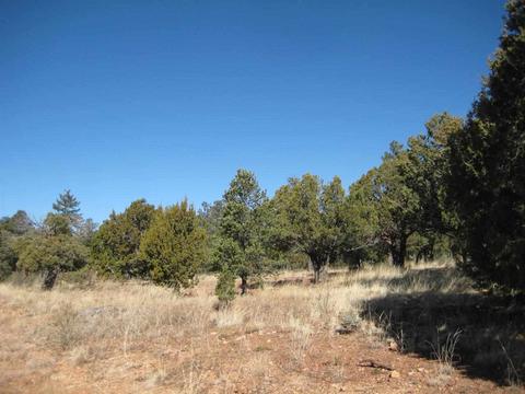 2874 Four Pt, Overgaard, AZ 85933 photo 10