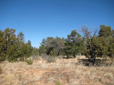 2874 Four Pt, Overgaard, AZ 85933 photo 11