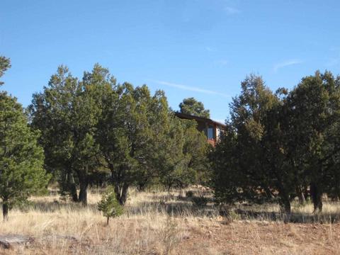 2874 Four Pt, Overgaard, AZ 85933 photo 5
