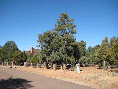 2874 Four Pt, Overgaard, AZ 85933 photo 3