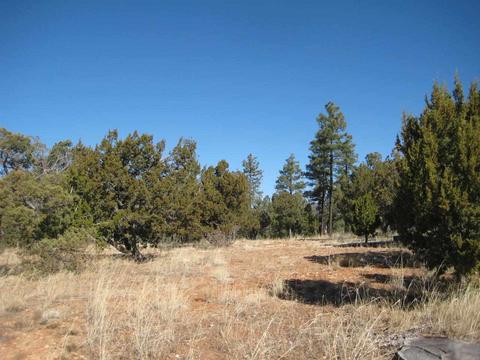 2874 Four Pt, Overgaard, AZ 85933 photo 8