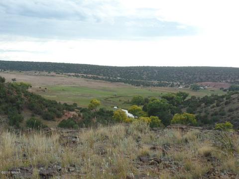7695 Del Rio Dr, Show Low, AZ 85901