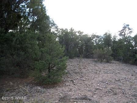 2025 Shadow Pines Dr, Overgaard, AZ 85933 photo 4