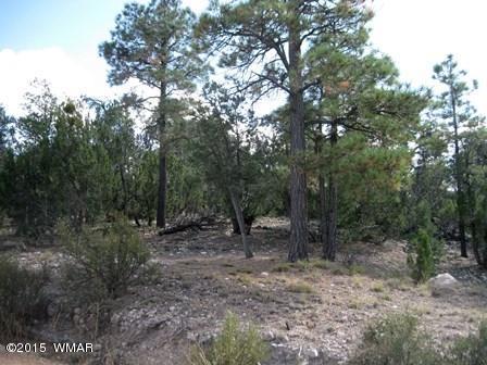 2025 Shadow Pines Dr, Overgaard, AZ 85933 photo 3