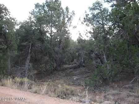2025 Shadow Pines Dr, Overgaard, AZ 85933 photo 5