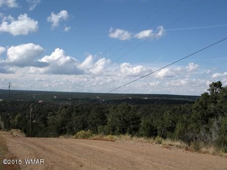 2025 Shadow Pines Dr, Overgaard, AZ 85933 photo 6