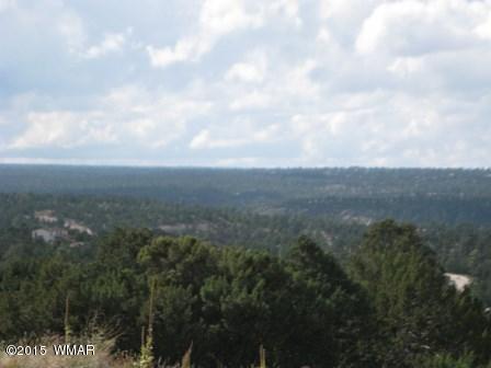 2025 Shadow Pines Dr, Overgaard, AZ 85933 photo 9