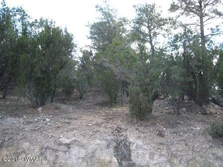 2025 Shadow Pines Dr, Overgaard, AZ 85933 photo 1