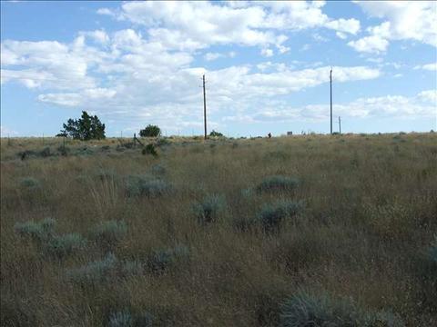1106 S Centennial Blvd, Snowflake, AZ 85937 photo 4