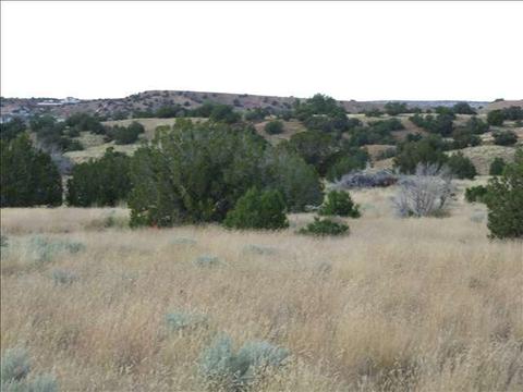 1106 S Centennial Blvd, Snowflake, AZ 85937 photo 3