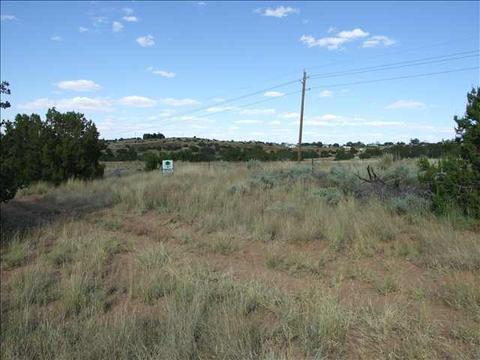 1106 S Centennial Blvd, Snowflake, AZ 85937 photo 5