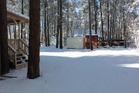 348 Willow Run, Lakeside, AZ 85929 photo 3
