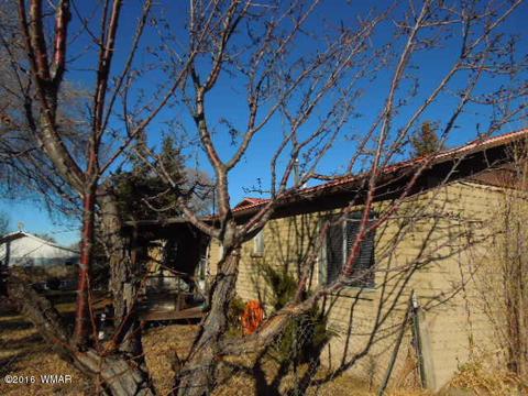 690 S Harless St, Eagar, AZ 85925 photo 5